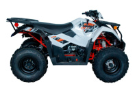AU300 EFI