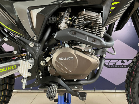 REGULLMOTO TE_15