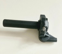 IGP-0261