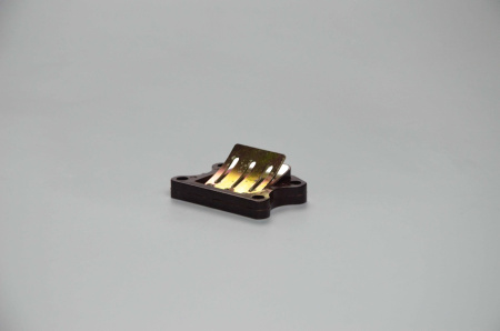 DSC_0238
