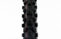 RQ19